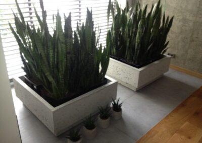 donica loft 1