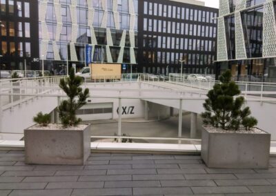 IMAG0662
